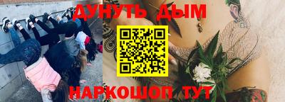 гидра Краснодар